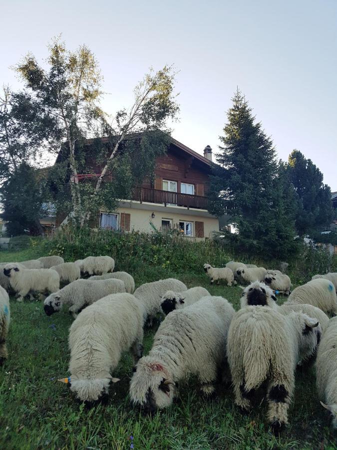 Chalet Bietschhorn Rosswald Termen Exterior foto